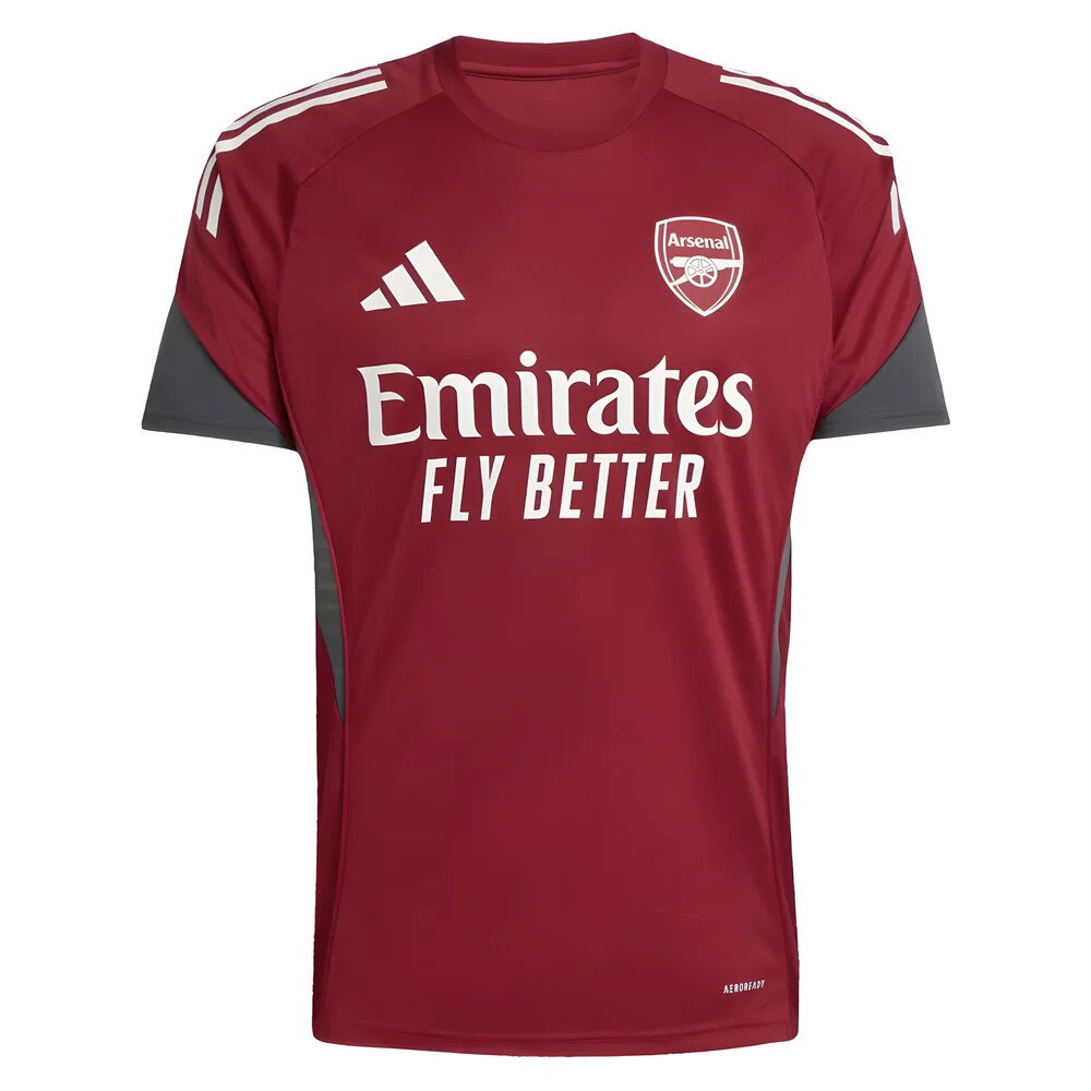 2025-2026 Arsenal EU Training Jersey (Burgundy) (Bergkamp 10)