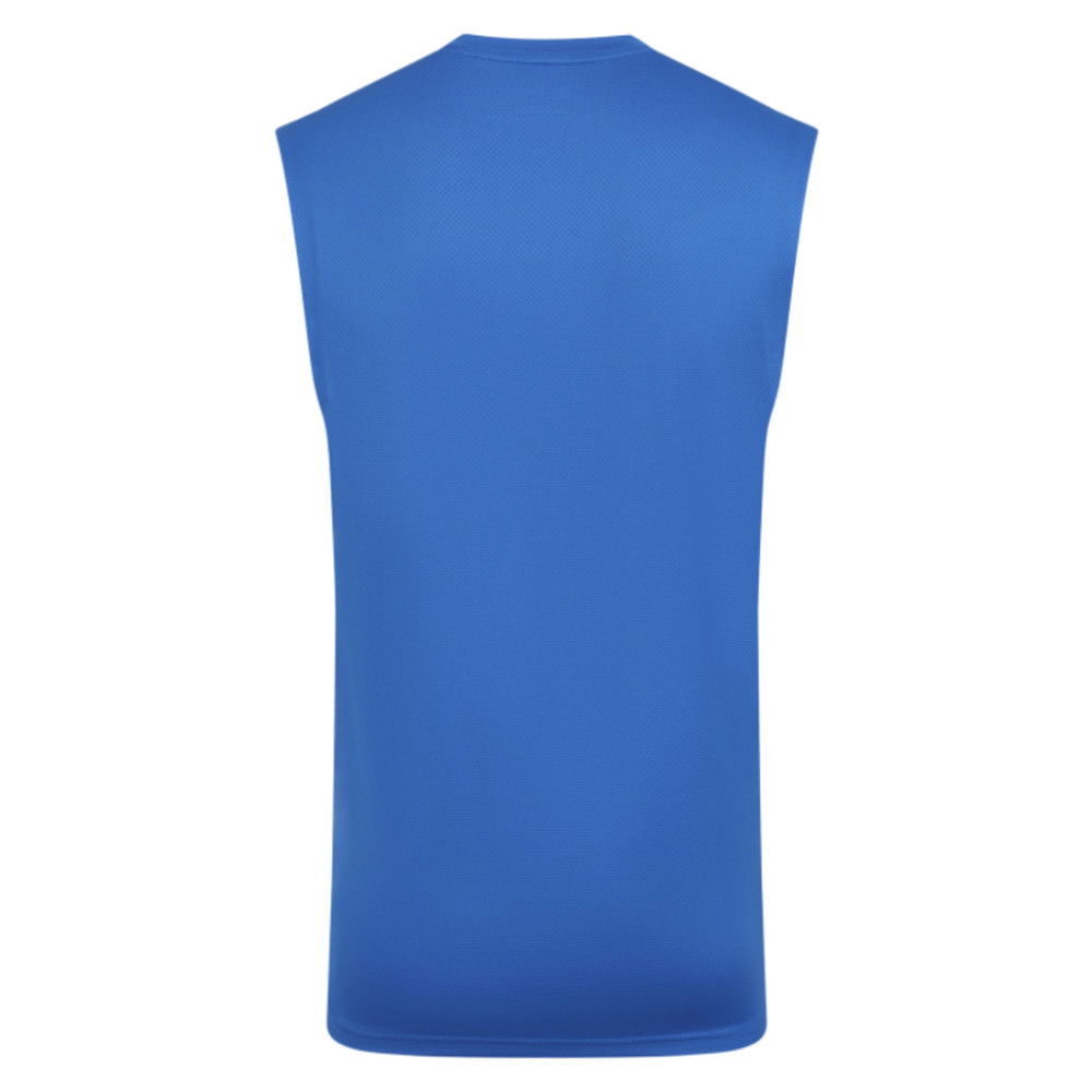 2025-2026 Wolves Players Training Vest (Lapis Blue)