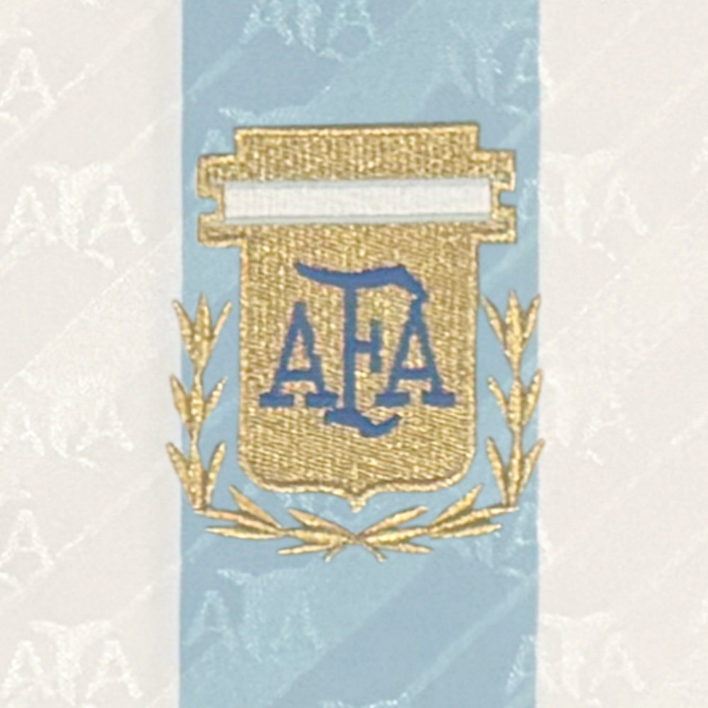 1994 Argentina World Cup Home Shirt (Maradona 10)