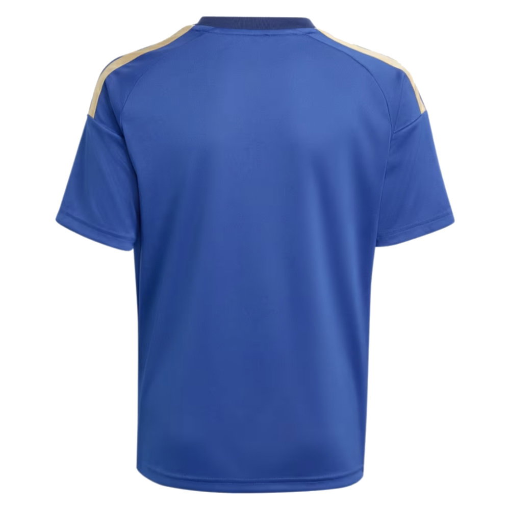 2026-2027 Italy Home Fan Jersey (Kids) (Barella 18)