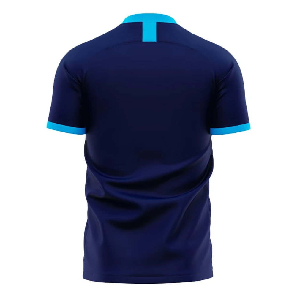 Paris FC 2024-2025 Home Concept Football Kit (Libero) (Your Name)