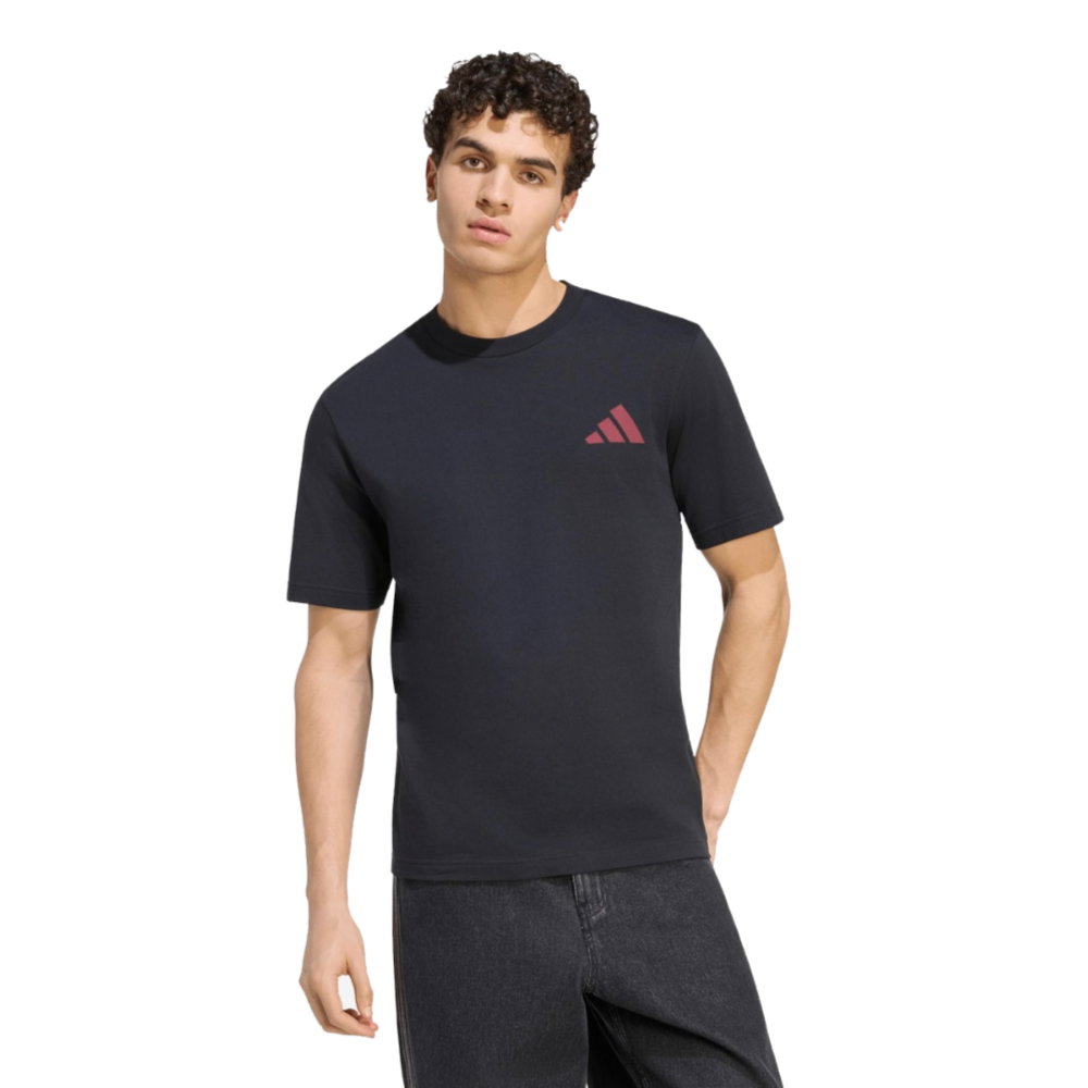 2026-2027 Liverpool Seasonal Graphic Tee (Black)