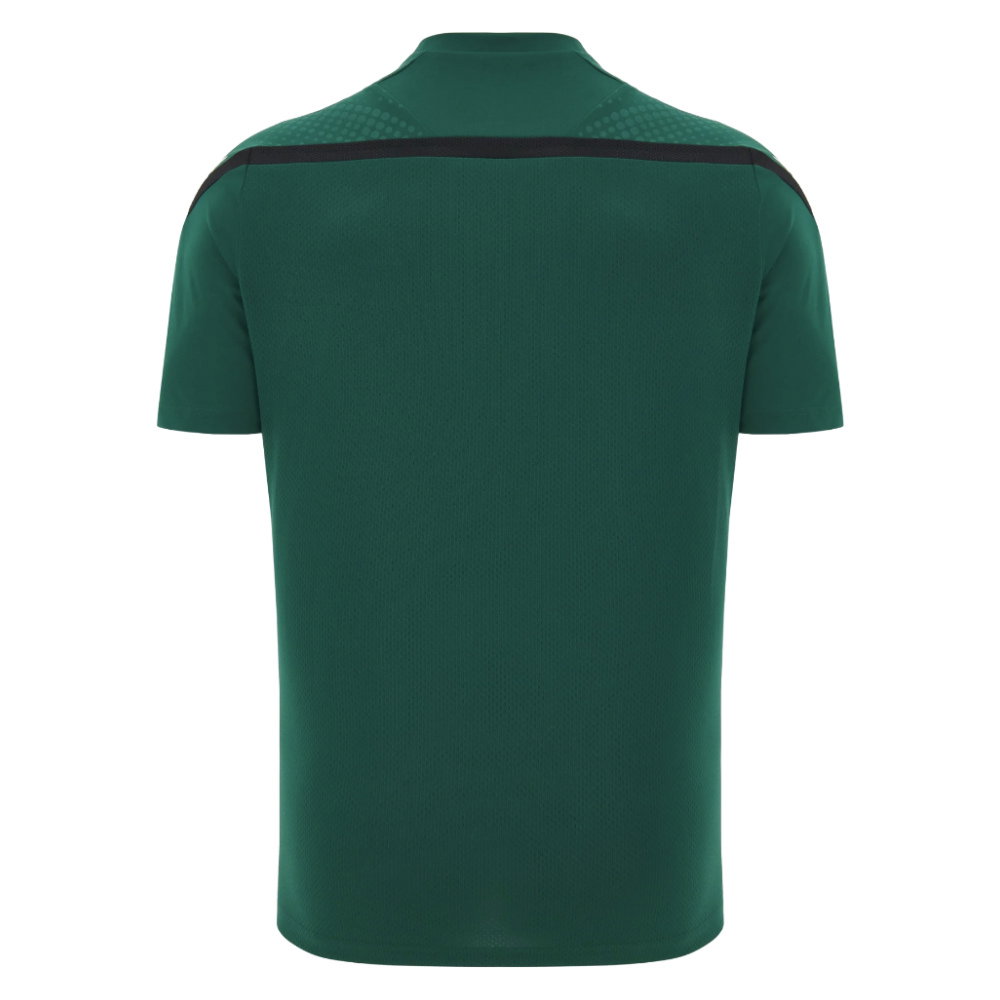2026-2027 Wales WRU Rugby Player Training Shirt (Green) (Your Name)