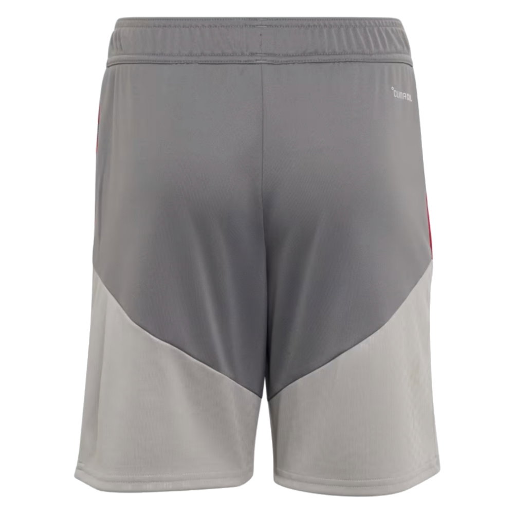 2026-2027 Liverpool EU Training Shorts (Grey) - Kids