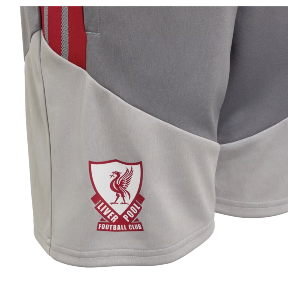 2026-2027 Liverpool EU Training Shorts (Grey) - Kids