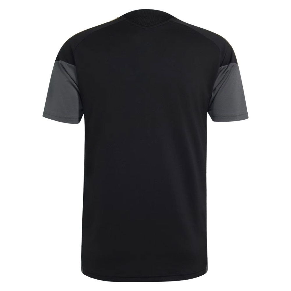 2026-2027 Juventus EU Training Jersey (Black)