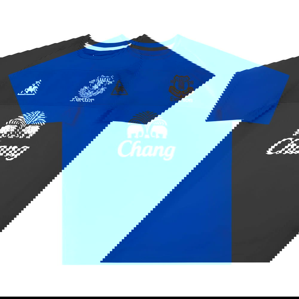 Everton 2010-11 Home Shirt (Saha #8) (S) (Very Good)