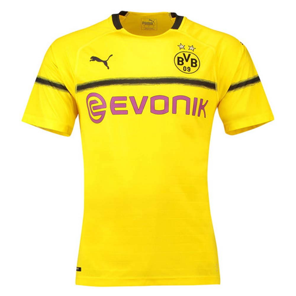 Borussia Dortmund 2018-19 European/Cup Home Shirt (L) (Very Good) (Sancho 7)