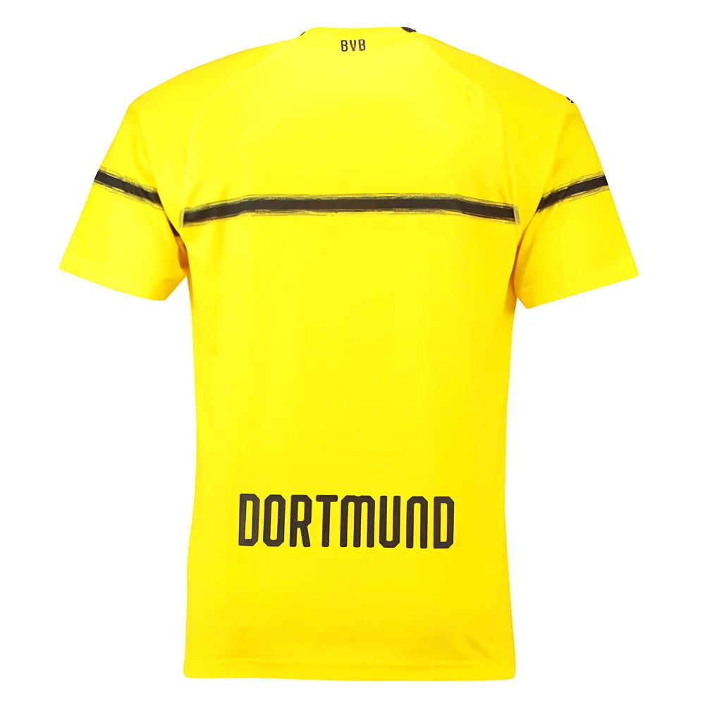 Borussia Dortmund 2018-19 European/Cup Home Shirt (L) (Very Good)