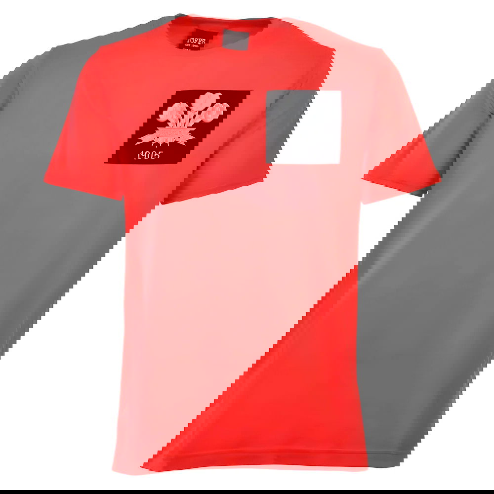 Wales Feathers 1905 Red T-Shirt