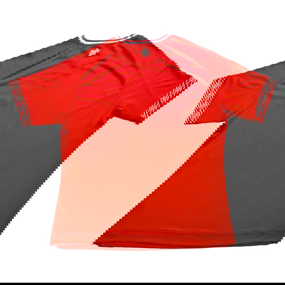 Al Ahly Egypt 2018-19 Home Shirt (Sponsorless) (3XL) (Good)