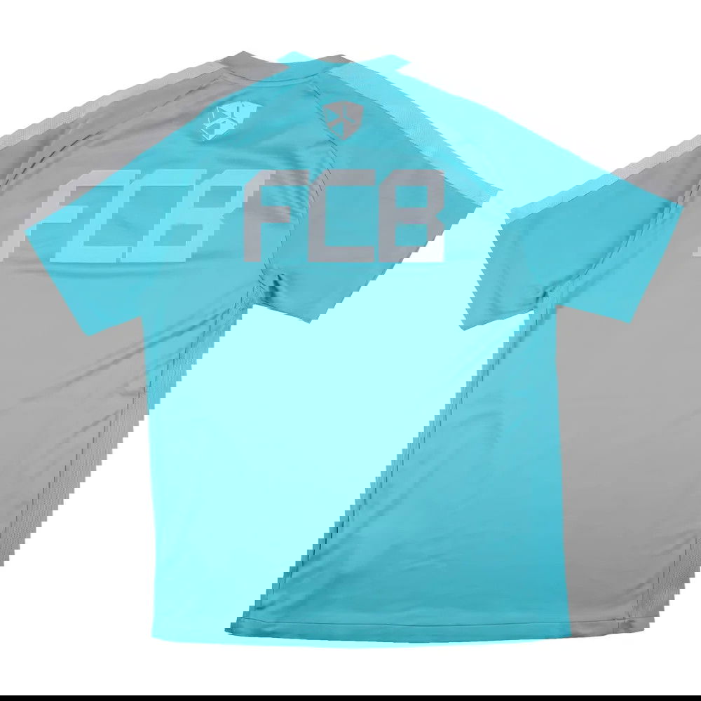 Barcelona 2011-12 Nike Training Shirt (M) (Excellent)