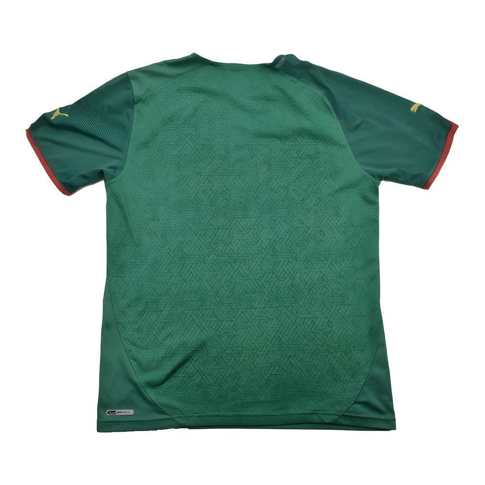 Cameroon 2010-11 Home Shirt ((Excellent) L)