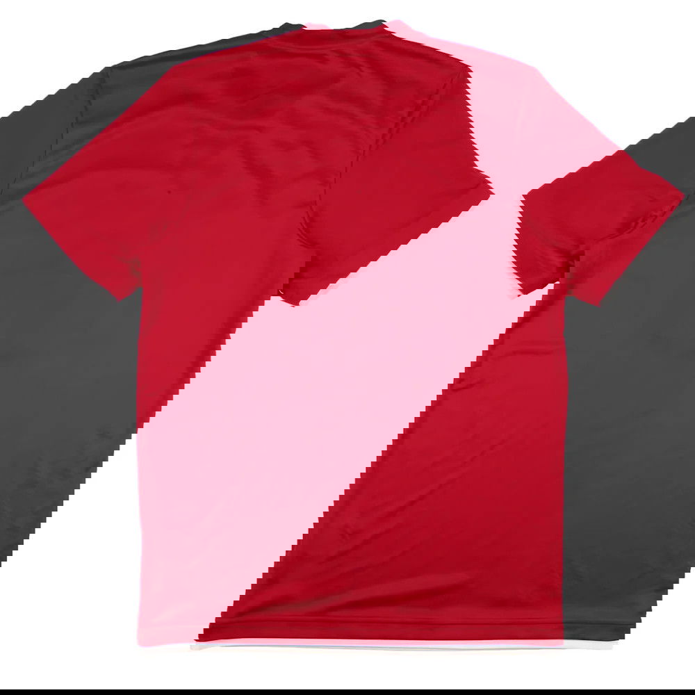 Denmark 2010-11 Adidas Training Shirt (S) (Good)