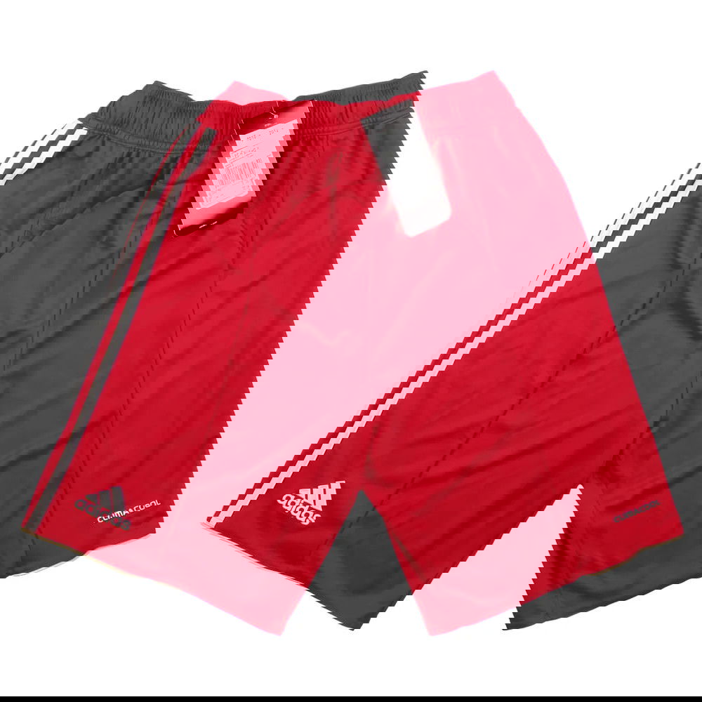 Liverpool 2010-12 Home Shorts (LB) (BNWT)