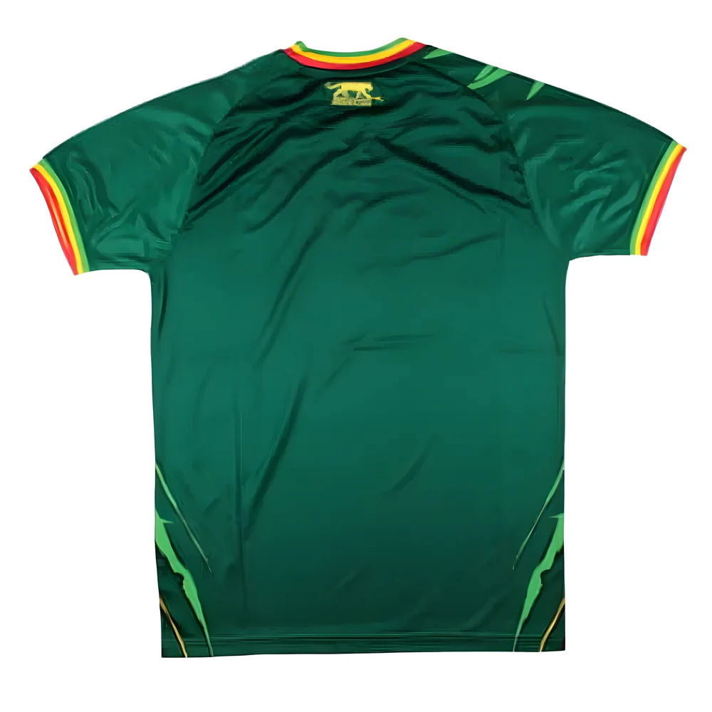 Mali 2023-24 Away Shirt (L) (BNWT)