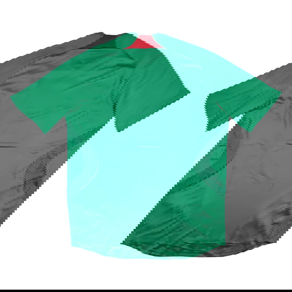 Mexico 2007-08 Home Shirt (L) (Excellent)