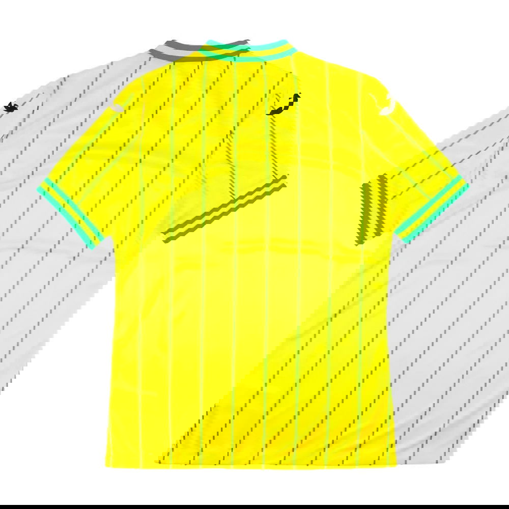 Norwich 2022-2023 Home Shirt - Sponsorless (XXL) (Mint)