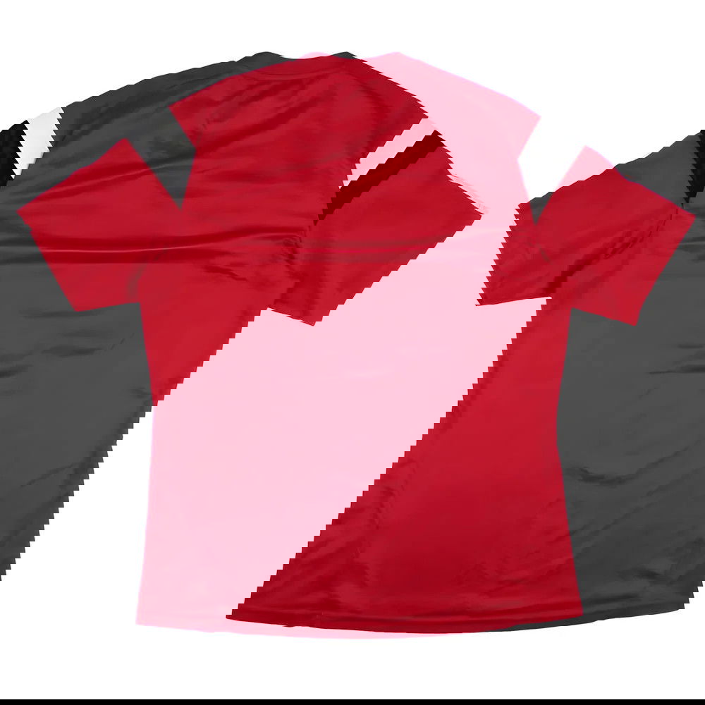 Wales 2013-14 Adidas Training Shirt (M) (Excellent)