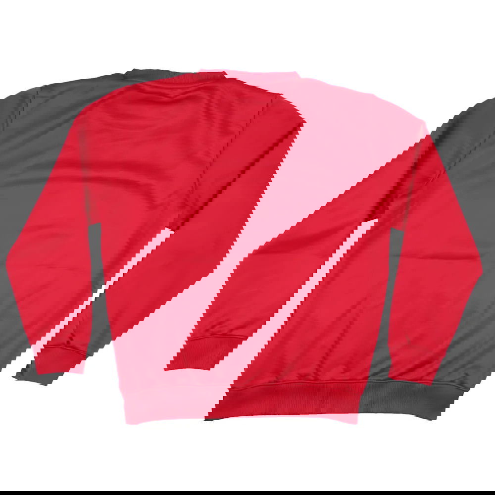 Watford 2012-13 Puma Training Jumper (S) (Excellent)