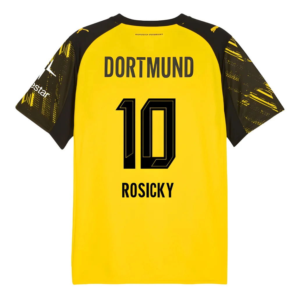 2025-2026 Borussia Dortmund Warm Up Jersey (Yellow) (Rosicky 10)