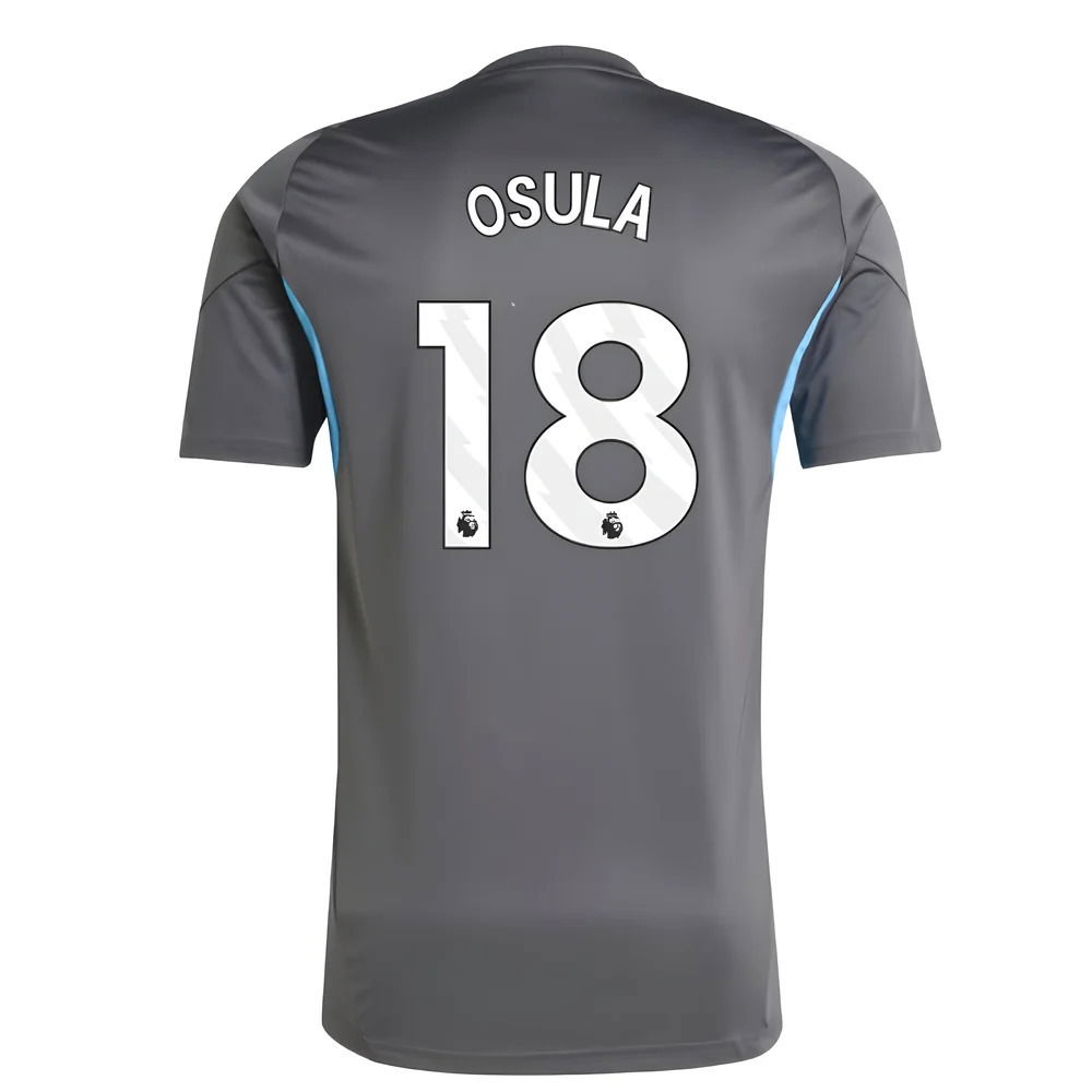 2025-2026 Newcastle Training Shirt (Grey) (Osula 18)