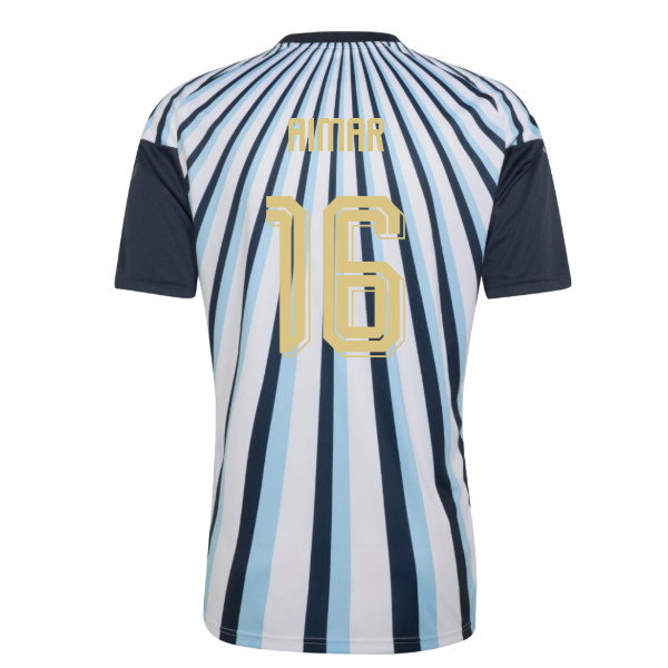 2026-2027 Argentina Home Pre-Match Shirt (White) (Aimar 16)