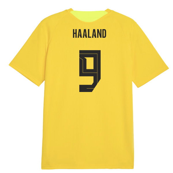 2026-2027 Borussia Dortmund Training Jersey (Yellow) (Haaland 9)