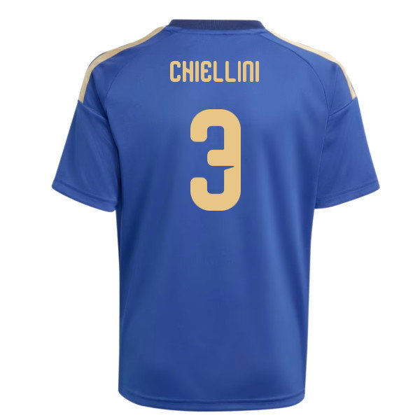 2026-2027 Italy Home Fan Jersey (Kids) (Chiellini 3)