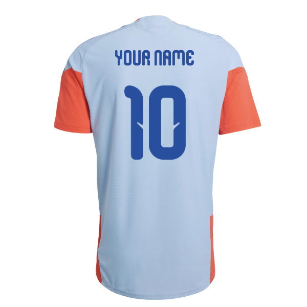 2026-2027 Japan WC26 Pro Training Shirt (Ash Blue) (Your Name)