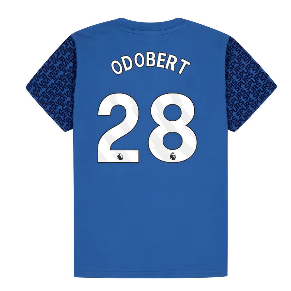 Tottenham Hotspur Graphic T-shirt (Blue) - Kids (Odobert 28)