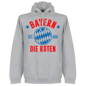Bayern Established Hoodie - Grey