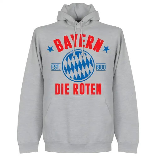 Bayern Established Hoodie - Grey