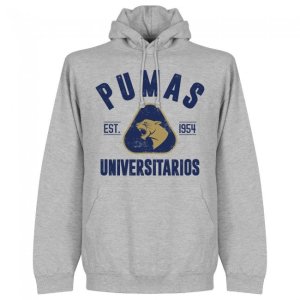 Pumas Established Hoodie - Grey Marl
