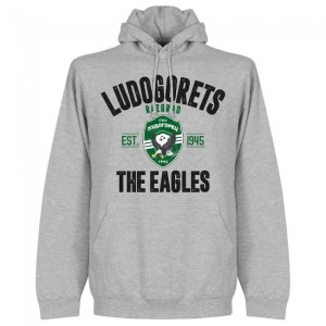 Ludogorets Established Hoodie - Grey
