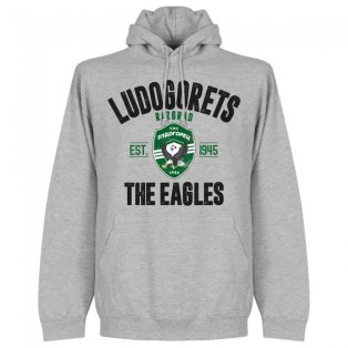 Ludogorets Established Hoodie - Grey