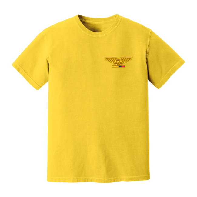 Ecuador National Team T-Shirt (Yellow)