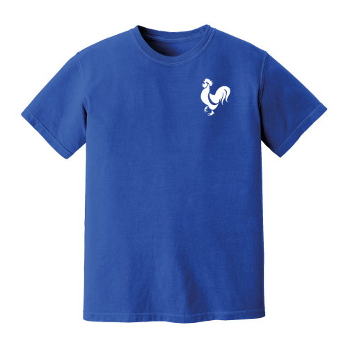 France National Team Embroidered Tee (Blue)