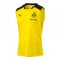 2017-2018 Borussia Dortmund Puma Sleeveless Shirt (Yellow) - Kids