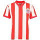 Retro Shirts