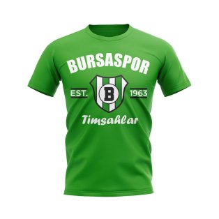 Bursaspor Established Football T-Shirt (Green)