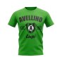 Avellino Established Football T-Shirt (Green)