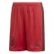 2020-2021 Germany Home Adidas Goalkeeper Shorts (Red) - Kids