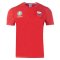 Wales 2021 Polyester T-Shirt (Red)