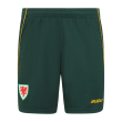 2026-2027 Wales Sudu Away Shorts (Green) - Kids