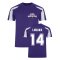 Romelu Lukaku Anderlecht Sports Training Jersey (Purple)