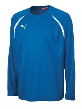Puma Vendica LS Teamwear Shirt (blue)