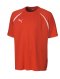 Puma Vendica SS Teamwear Shirt (red)
