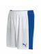 Puma Powercat 5.12 Team Shorts (white-blue)