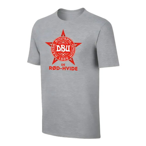 Denmark Euro 2020 T-Shirt - Grey